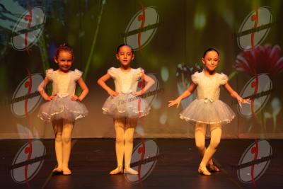 SHOW_00365.jpg